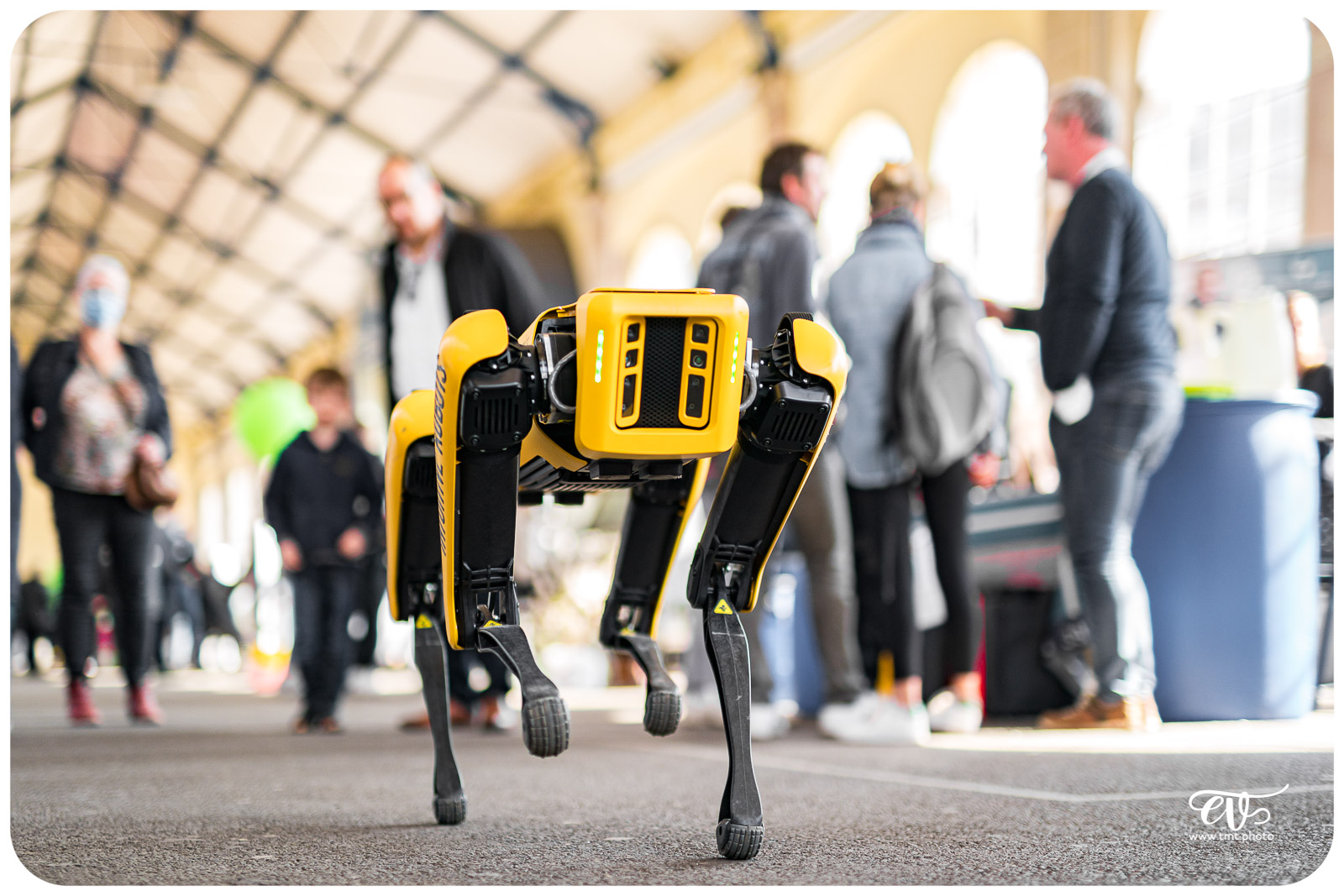 SPOT (BOSTON DYNAMICS)